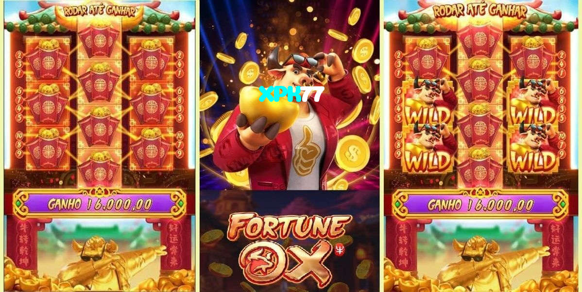available types of XPK77 bet including pre-match live express and system bets